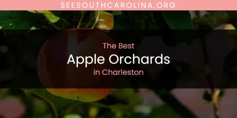 The Absolute Best Apple Orchards in Charleston