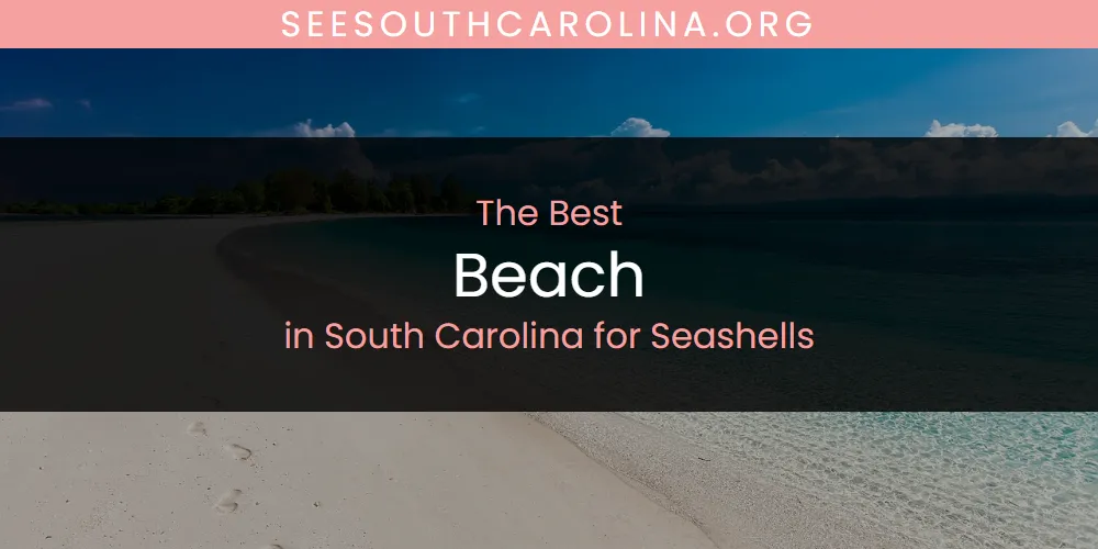 The 2026 Best Beach in South Carolina for Seashells List