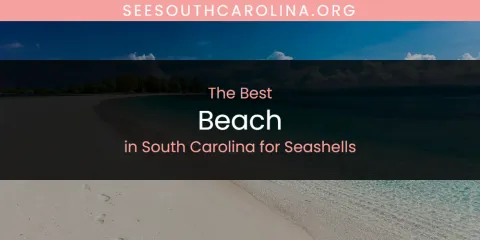 The Best Beach in South Carolina for Seashells List
