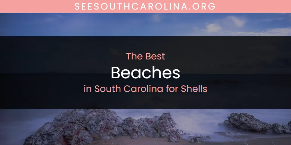Best Beaches in South Carolina for Shells: 2026 Ultimate Guide