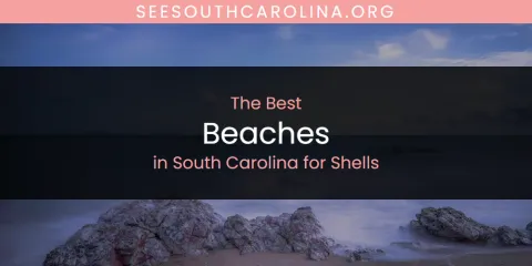 Best Beaches in South Carolina for Shells: Ultimate Guide