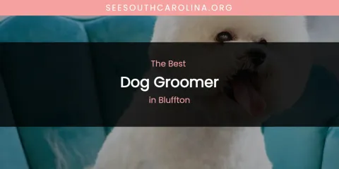 The Absolute Best Dog Groomer in Bluffton