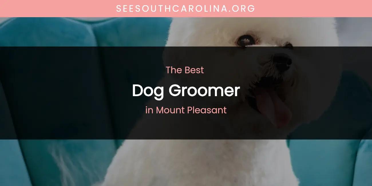 Mount Pleasant's Best Dog Groomer featured