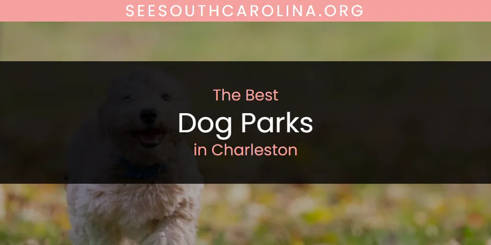 The Absolute Best Dog Parks in Charleston  [Updated 2025]