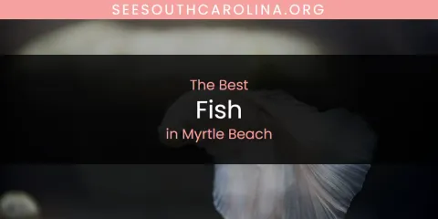 Myrtle Beach's Best Fish