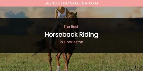 The Absolute Best Horseback Riding in Charleston