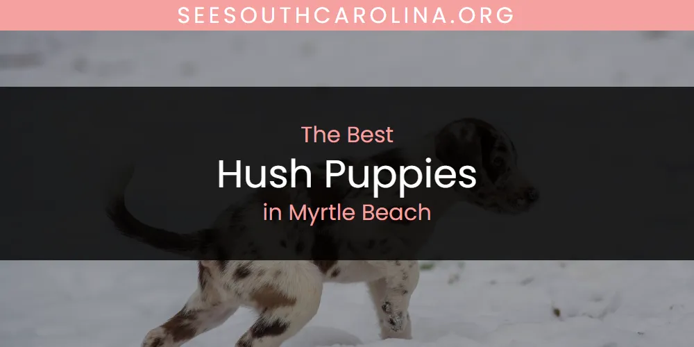 Best Hush Puppies in Myrtle Beach: Complete Guide (2026)