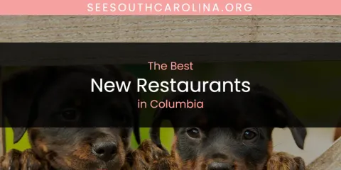 Best New Restaurants in Columbia: Our Expert Picks