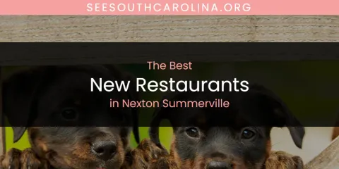 Nexton Summerville's Best New Restaurants