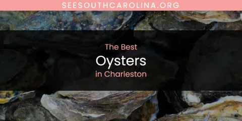 The Absolute Best Oysters in Charleston