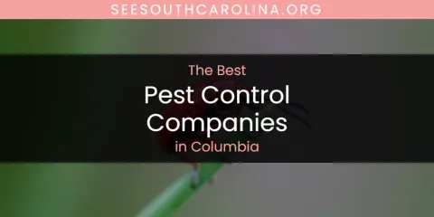 Columbia's Best Pest Control Companies Spots