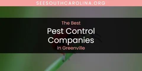 Best Pest Control Companies in Greenville: Ultimate Guide