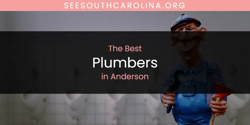 2026 Ranked: Best Plumbers in Anderson