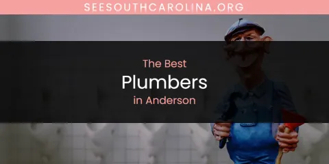Ranked: Best Plumbers in Anderson