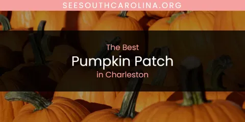 The Absolute Best Pumpkin Patch in Charleston