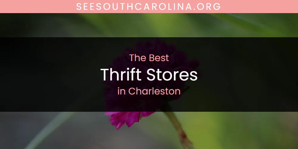 The Absolute Best Thrift Stores in Charleston  [Updated 2025]