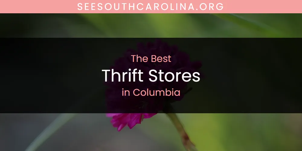 Discover the Best Thrift Stores in Columbia (2026)