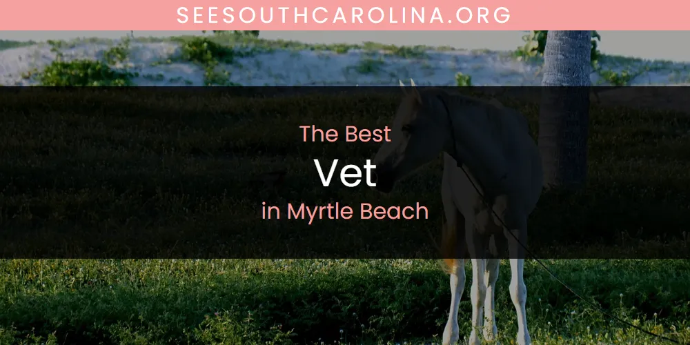 Myrtle Beach's Best Vet featured