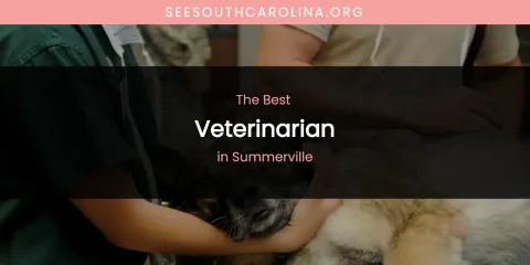 Summerville's Best Veterinarian